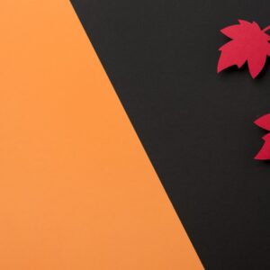 Placa Gráfica MSI GeForce RTX 3060 Ventus 2X 12G OC